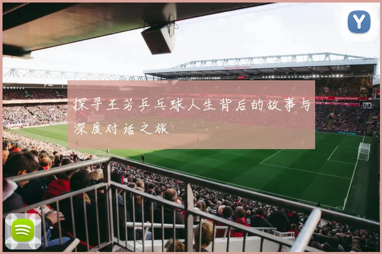 探寻王芳乒乓球人生背后的故事与深度对话之旅